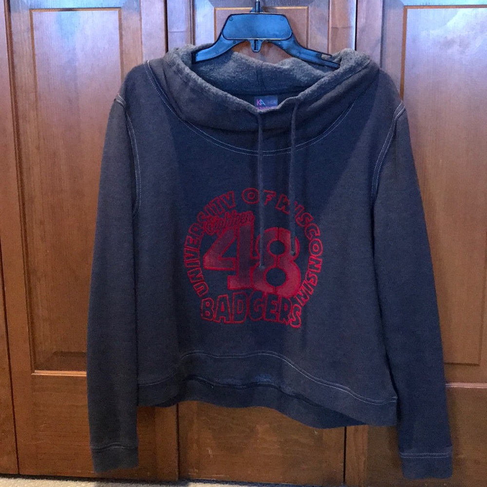 University of Wisconsin Sweatshirt